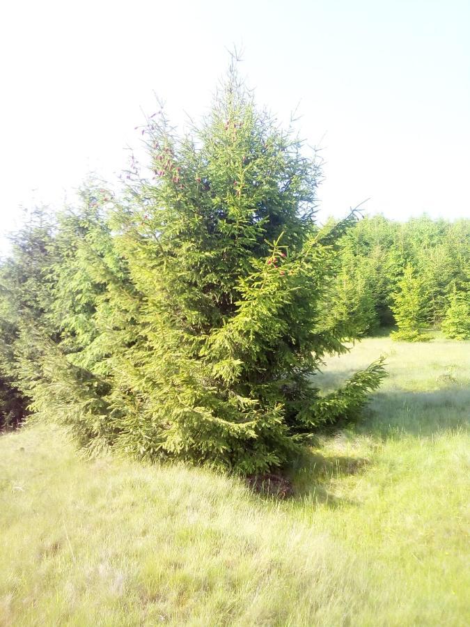 Sadyba U Vani Volóc Kültér fotó